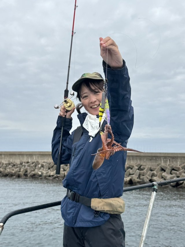 マダコ