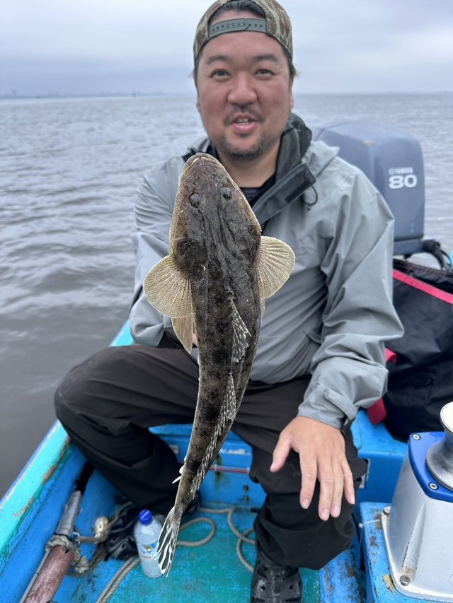 マゴチ