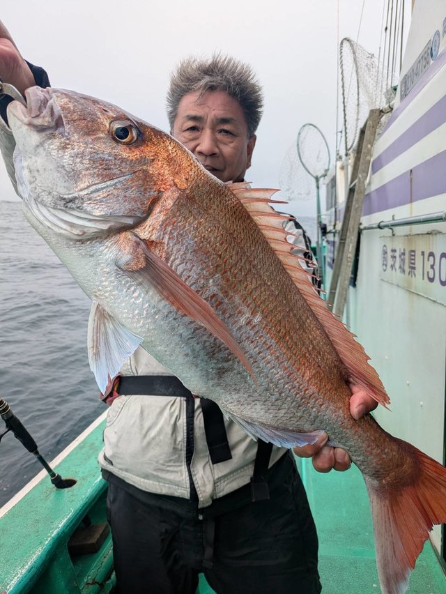 マダイ