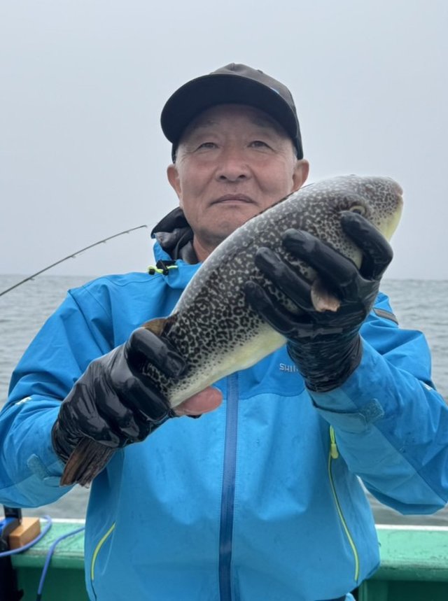ショウサイフグ