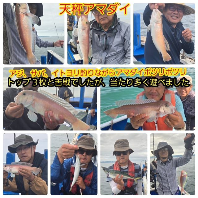 シロアマダイ
