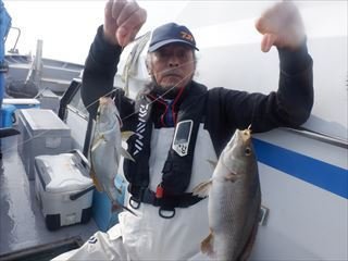 イサキ