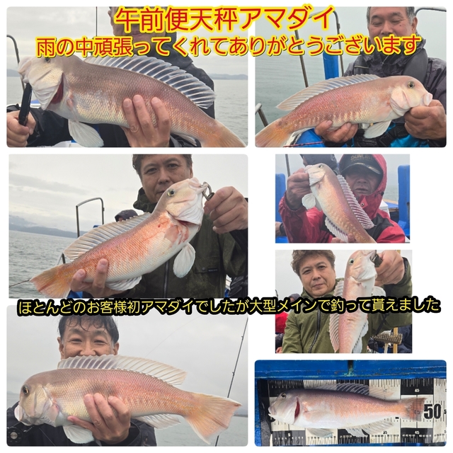 シロアマダイ