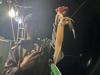 ムギイカ(スルメイカ)