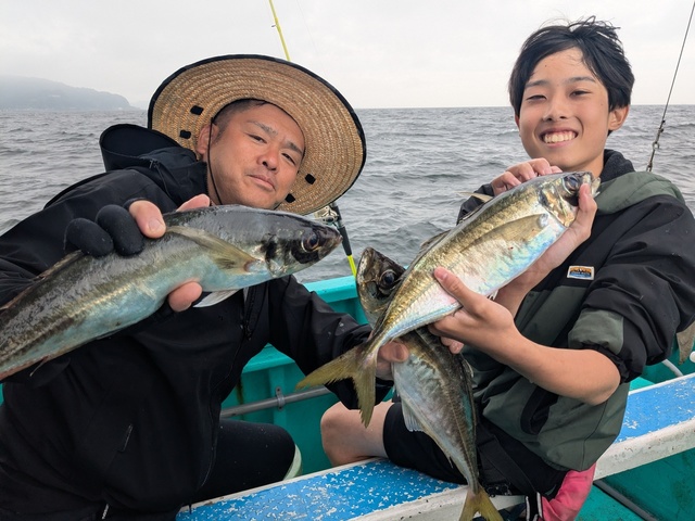 アジ(マアジ)