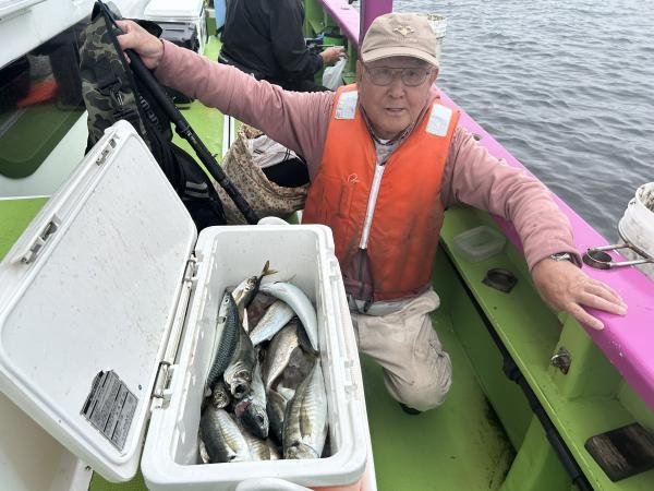 マアジ
