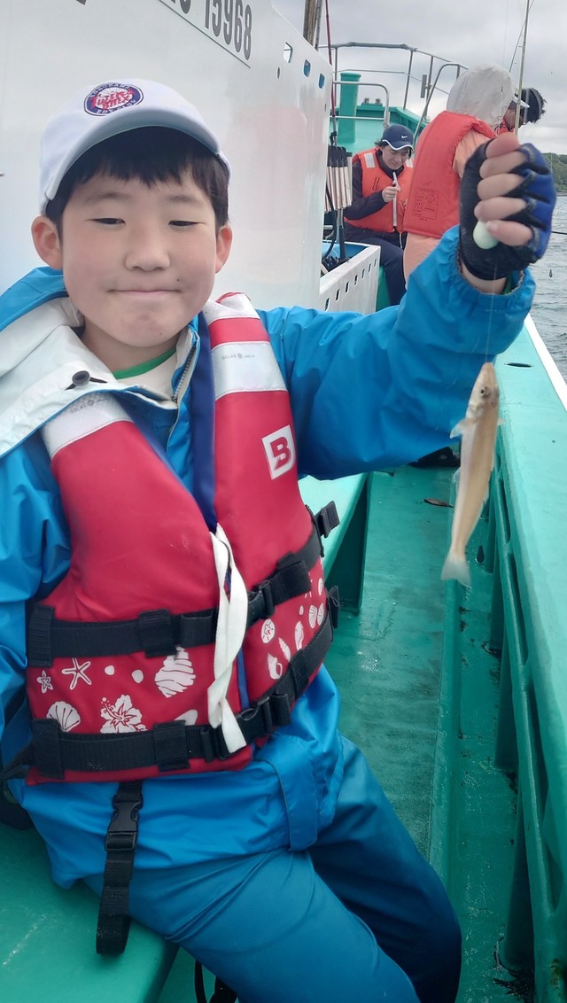 シロギス