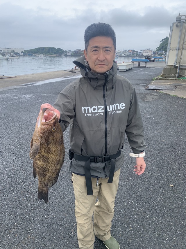オオモンハタ