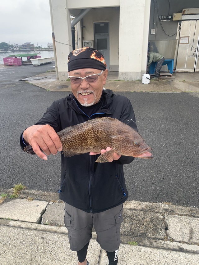 オオモンハタ