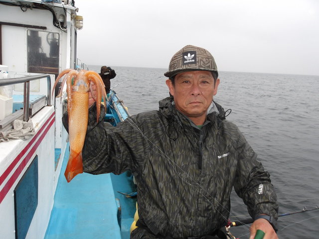 スルメイカ