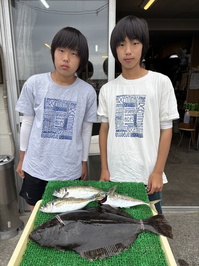 アジ(マアジ)・ヒラメ