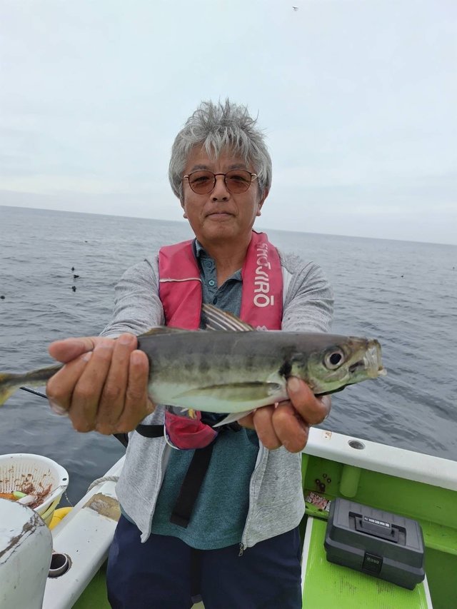 アジ(マアジ)