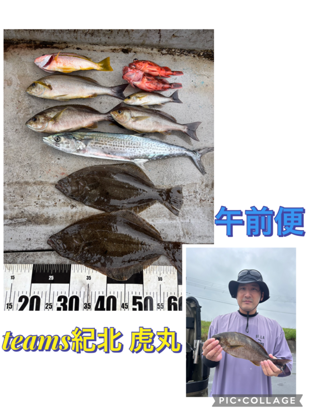 関西で釣れたサワラの最新釣果、釣り情報【2026年6月】