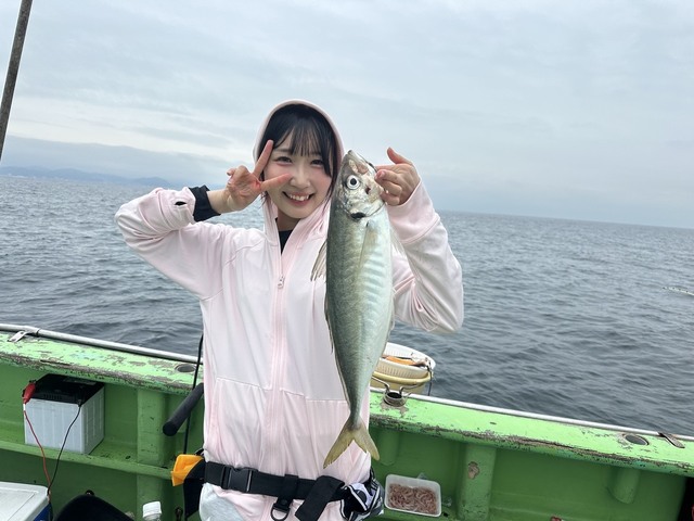 アジ(マアジ)