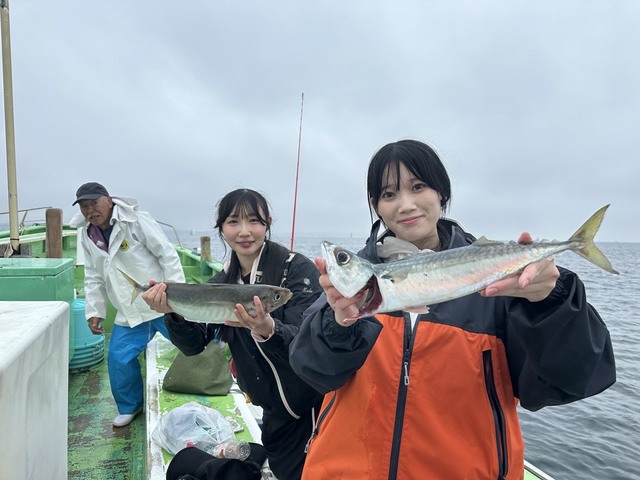 アジ(マアジ)・サバ(マサバ)