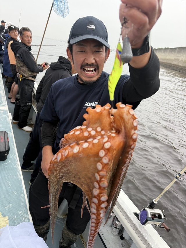 マダコ