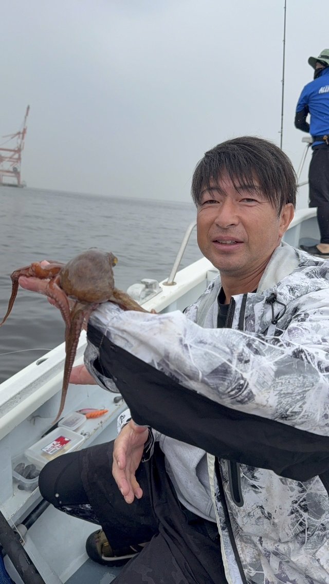 マダコ