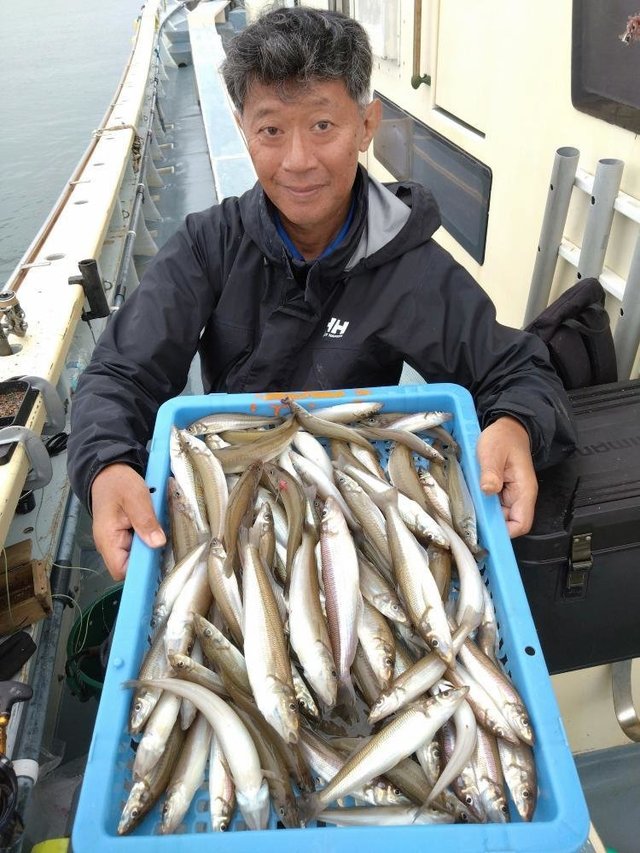 シロギス