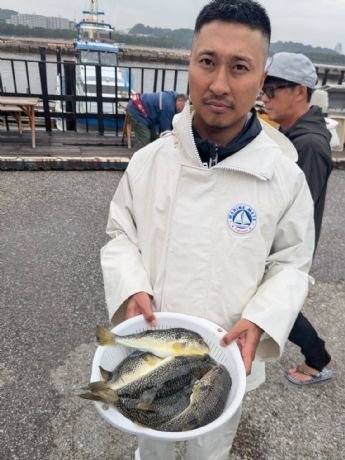 ショウサイフグ