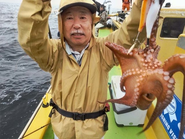 マダコ