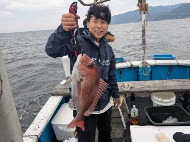 マダイ