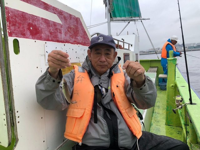 シロギス
