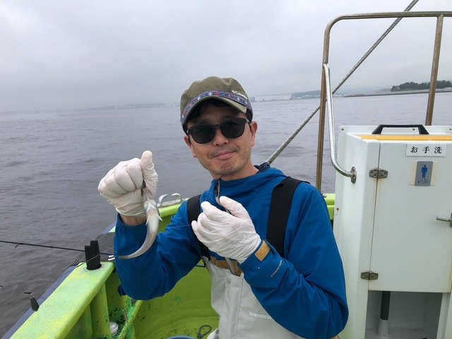 シロギス