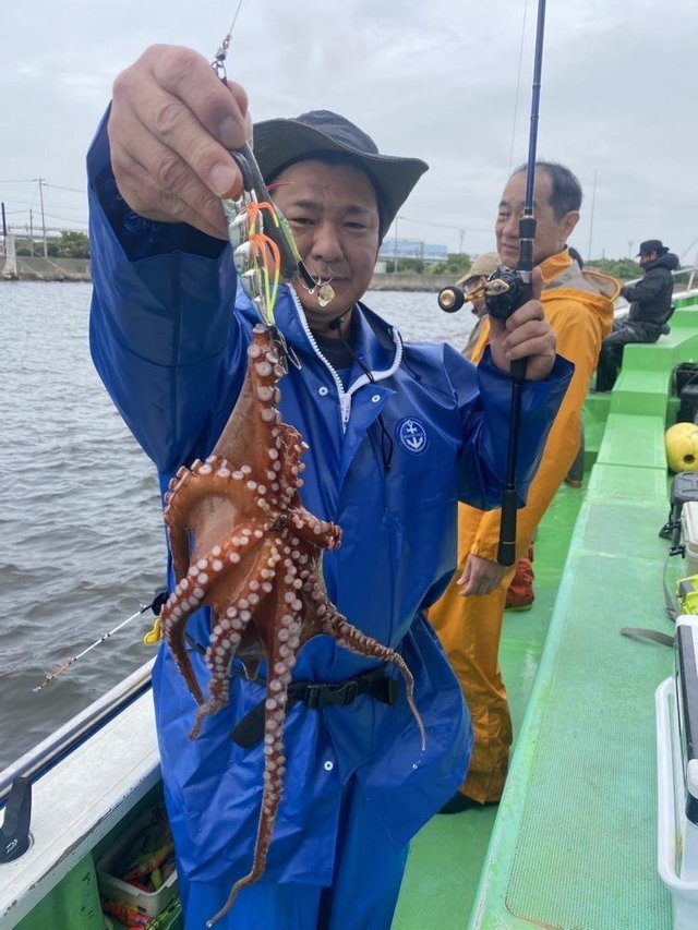 マダコ