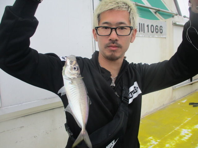 アジ(マアジ)