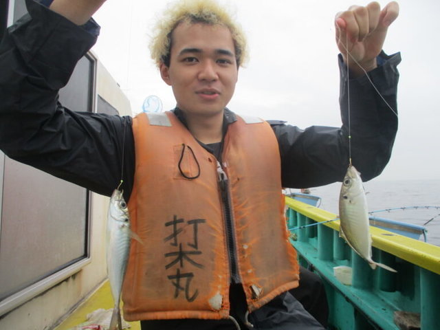 アジ(マアジ)