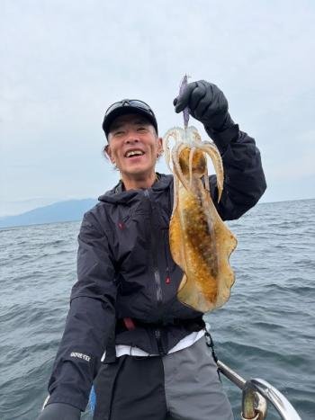 アオリイカ