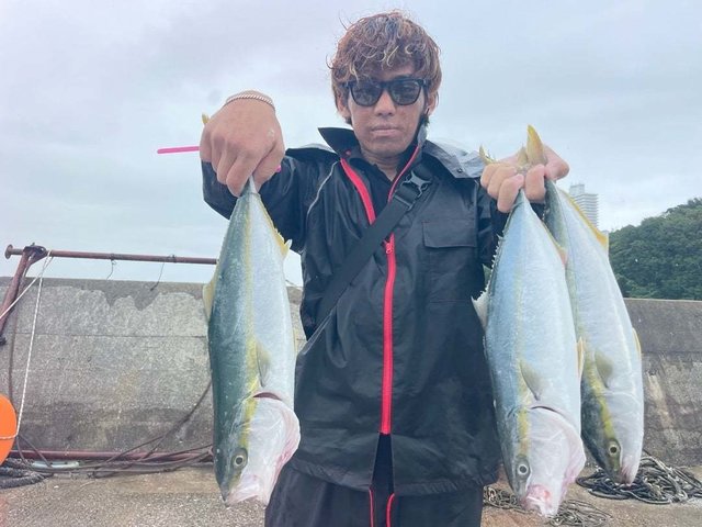 ハマチ(ブリ)