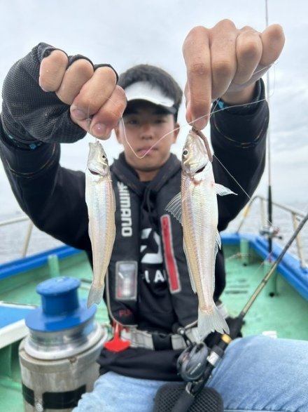 シロギス