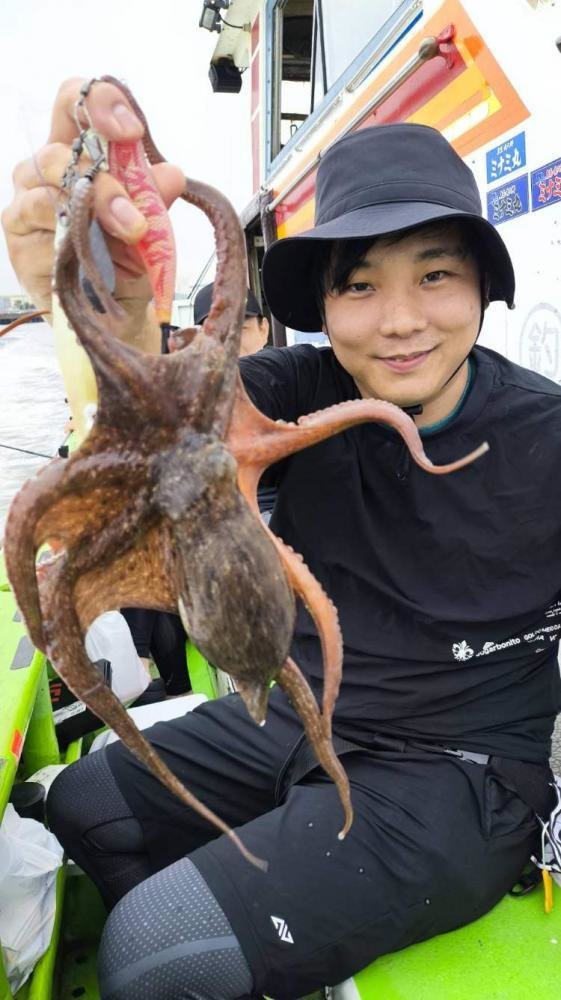 マダコ