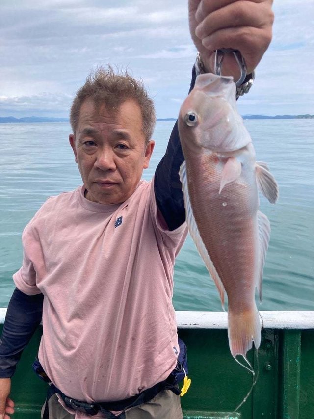 シロアマダイ