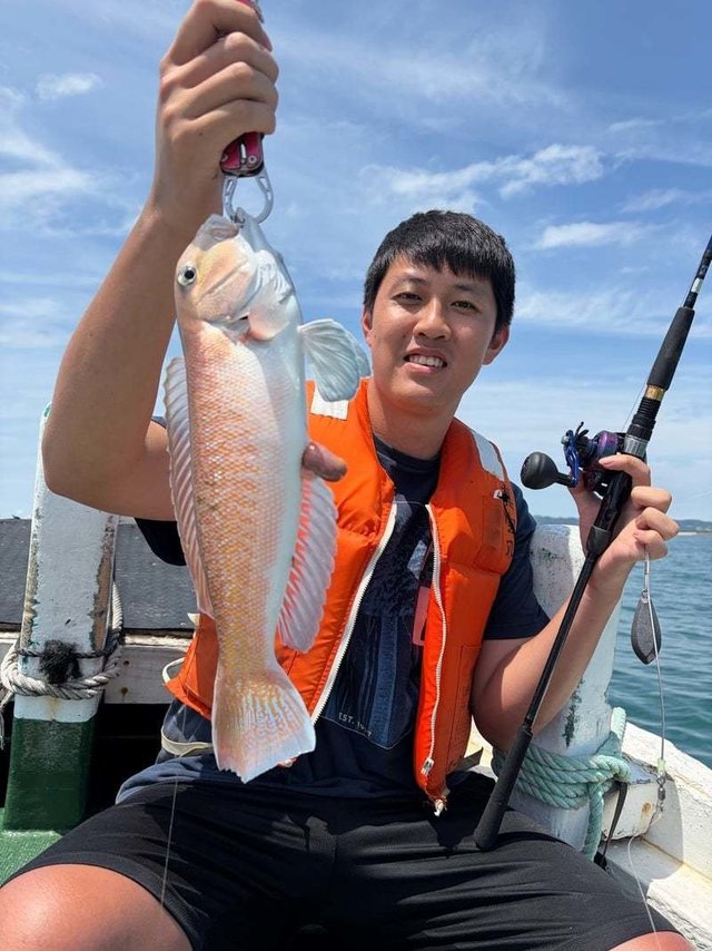 シロアマダイ