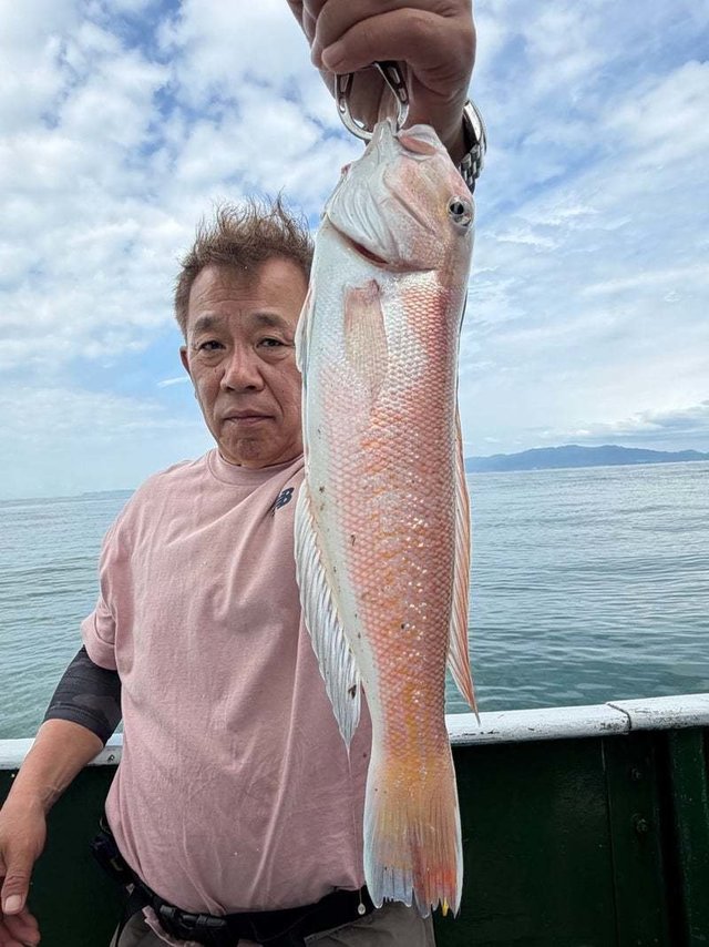 シロアマダイ