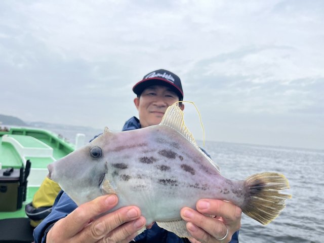 カワハギ