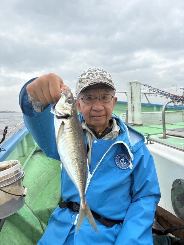 アジ(マアジ)