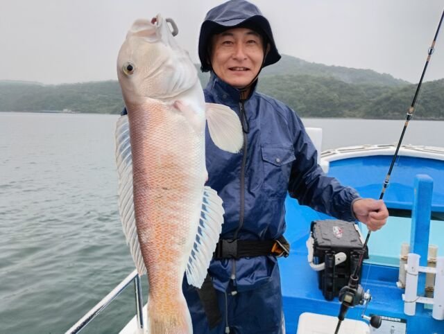 シロアマダイ