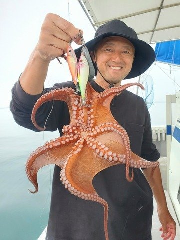 タコ(マダコ)
