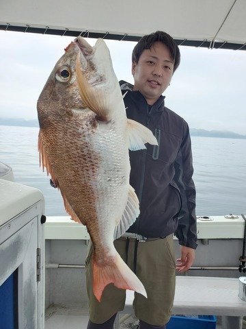 マダイ