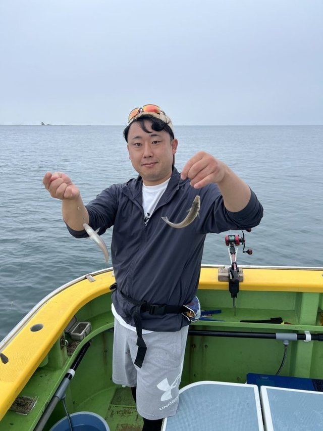 シロキス(シロギス)