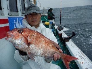 マダイ