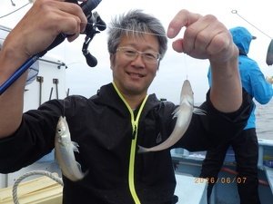シロギス
