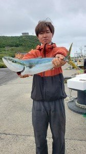 ワラサ(ブリ)