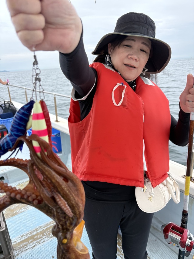 マダコ