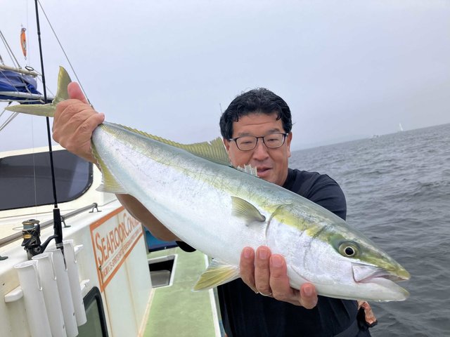 ワラサ(ブリ)