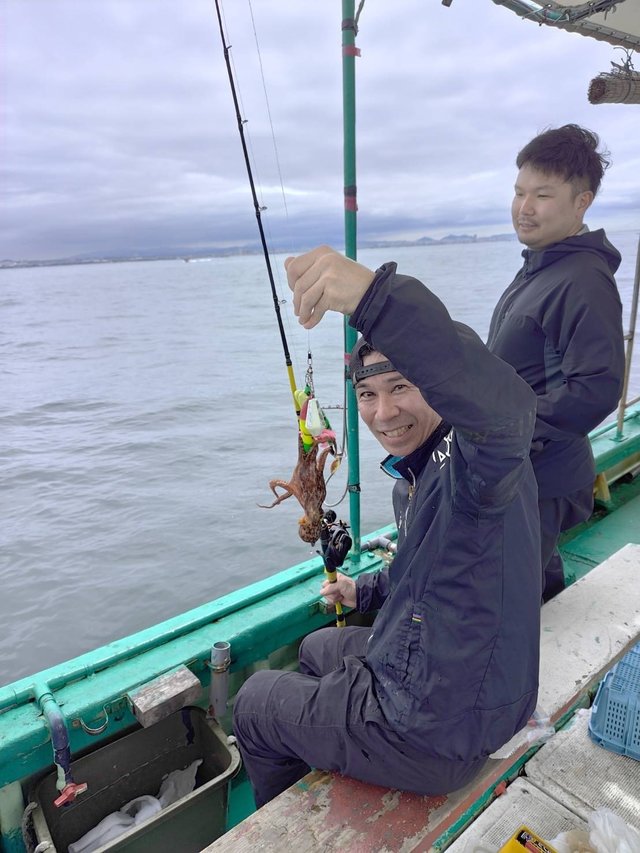 マダコ