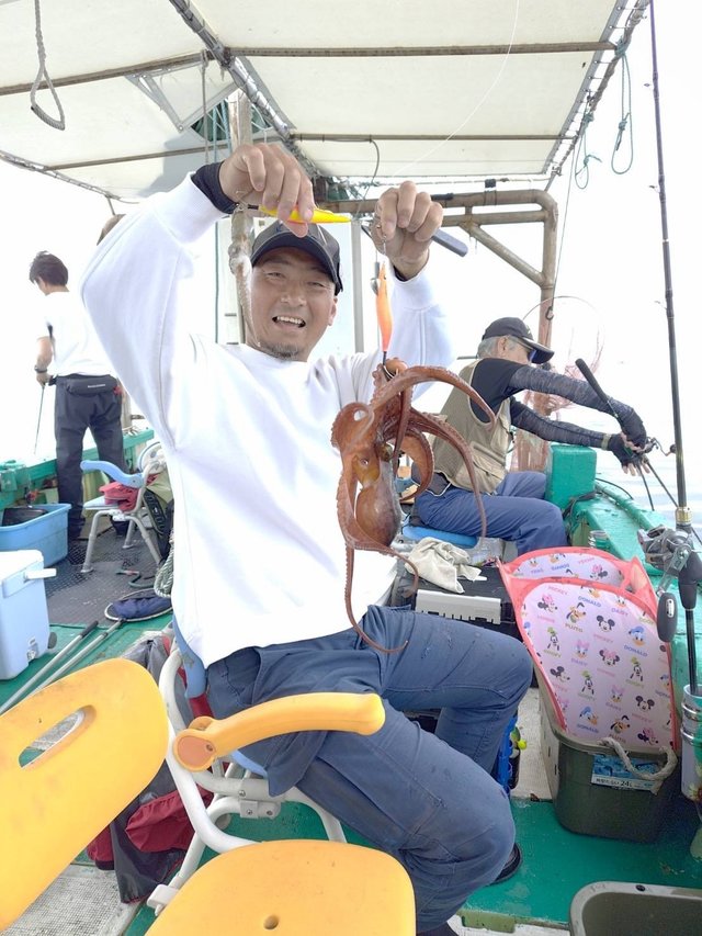 マダコ